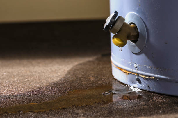 Trusted Water Damage Restoration in Springdale, NC | Fast, Reliable, and Ready to Assist You